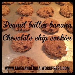 peanut butter banana oat chocolate chip cookie, banana cookie, healthy cookie, guilt free dessert