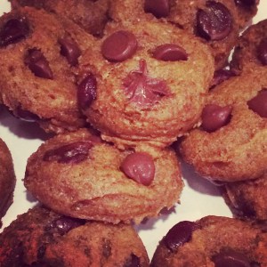 Pumpkin choc chip cookies_baked