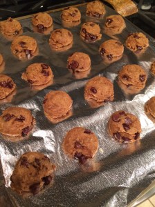 Pumpkin choc chip cookies_dough balls