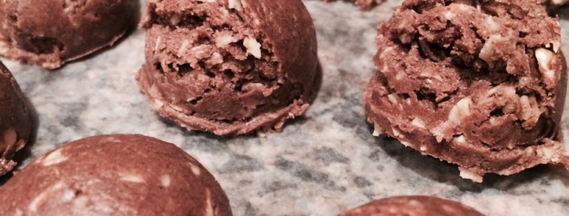 Maegan Blinka, shakeology no bake, chocolate shakeology, vanilla shakeology, healthy cookie, all natural cookie, sweet treat, high protein snack,