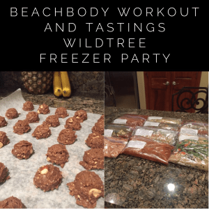Maegan Blinka, Shakeology No bakes, Healthy cookies, Shakeology Cookies Insanity Max 30, Clean eating, Meal Plan, Wildtree Freezer party, Shakeology recipes, Insanity Max 30 meal plan, 21 day fix meal plan, Insanity Max 30 month 1 review, Insanity Max 30 Month 2 schedule, Max out Cardio, Max Out power, Max Out Sweat, Max Out Strength, Friday Fight Round 2, Pulse, Insanity Max 30 week 5 schedule, 