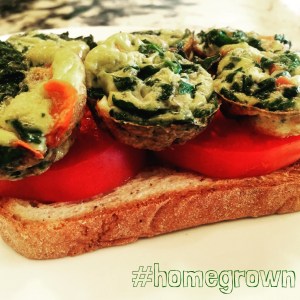 udis toast, Maegan Blinka, Megan Blinka, Veggie egg cups, vegetable egg cups, fast breakfast, easy breakfast, 21 day fix approved breakfast, homegrown tomatoes, organic eggs, easy lunch idea, 21 day fix approved, 21 day fix extreme approved, portion container meal plan, 