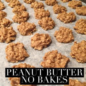 Peanut Butter cookie, easy cookie, cookies in under 20 minutes, fast cookie recipe, Peanut butter no bake, gluten free cookie, Maegan Blinka,  oatmeal cookie recipe