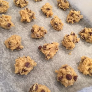 Maegan Blinka, Megan Blinka, FIXATE chocolate chip cookies, gluten free chocolate chip cookie, healthy chocolate chip cookie, Vegetarian cookies, healthier alternative, almond flour cookies, can you make your own almond flour, no sugar added cookies, 