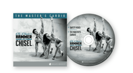 Hammer and chisel bonus DVD.png