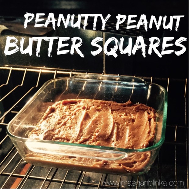 peanutty peanut butter squares.jpg