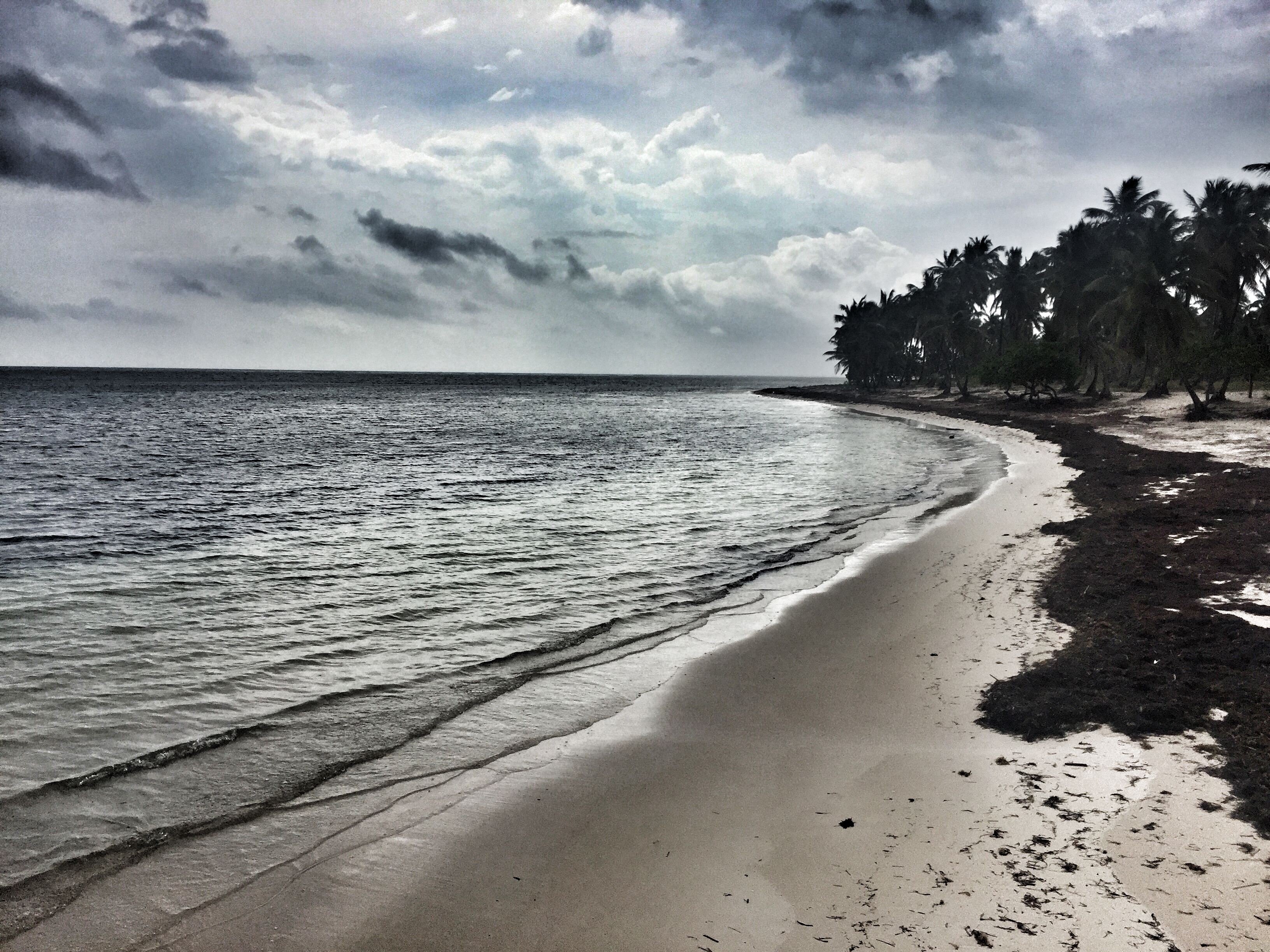 Photo Apr 24, 9 35 00 AM