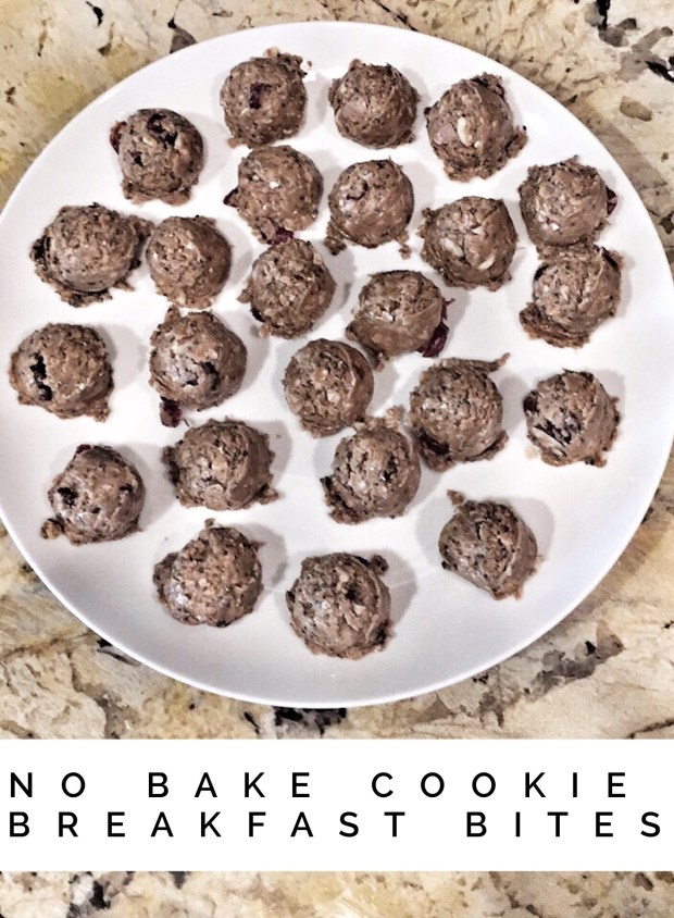 Maegan Blinka, Megan Blinka, No bake cookies, Kid friendly cookies, vegan cookies, dairy free cookies, gluten free cookies, top beachbody coach, Shakeology Recipes, Vegan Vanilla protein powder, Vegan vanilla shakeology recipes